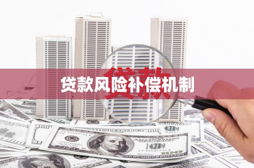 龙胜贷款风险补偿机制