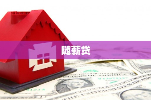 龙胜随薪贷