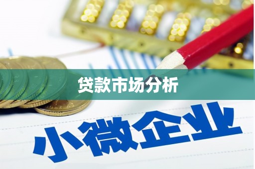 龙胜贷款市场分析