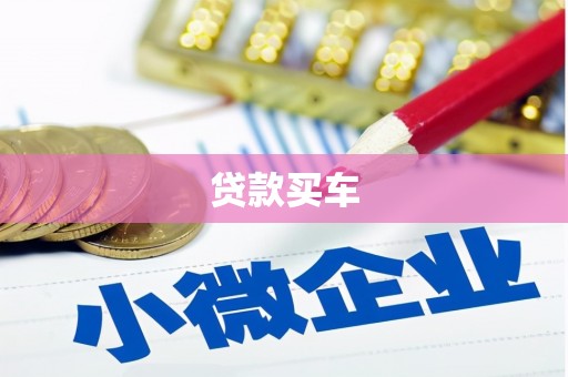 龙胜贷款买车