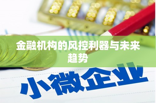 龙胜金融机构的风控利器与未来趋势