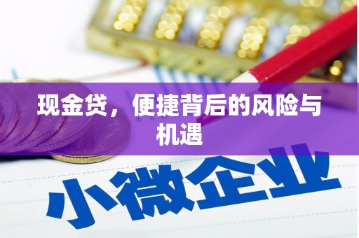 龙胜现金贷，便捷背后的风险与机遇