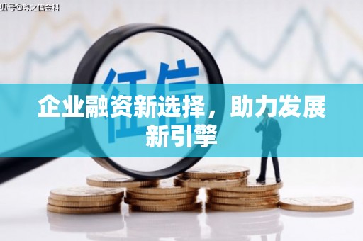 龙胜企业融资新选择，助力发展新引擎