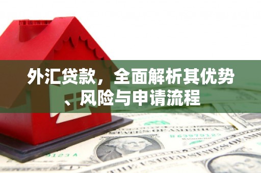龙胜外汇贷款，全面解析其优势、风险与申请流程