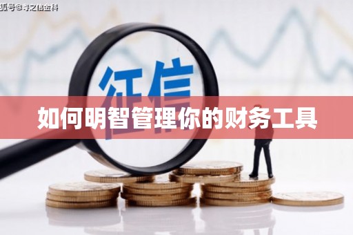 龙胜如何明智管理你的财务工具