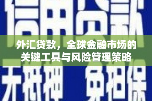 龙胜外汇贷款，全球金融市场的关键工具与风险管理策略