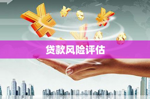 龙胜贷款风险评估