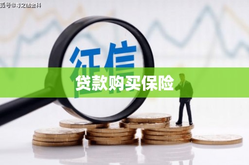 龙胜贷款购买保险