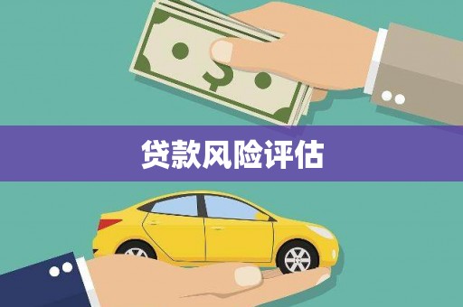 龙胜贷款风险评估