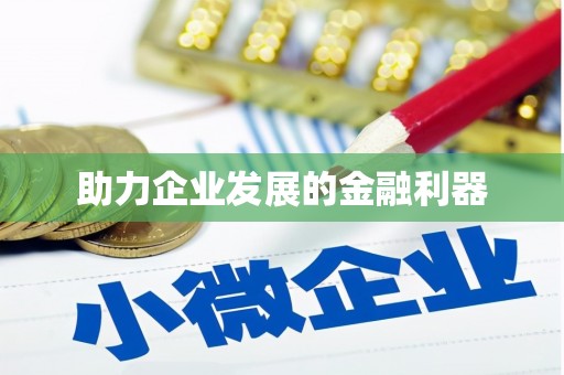 龙胜助力企业发展的金融利器