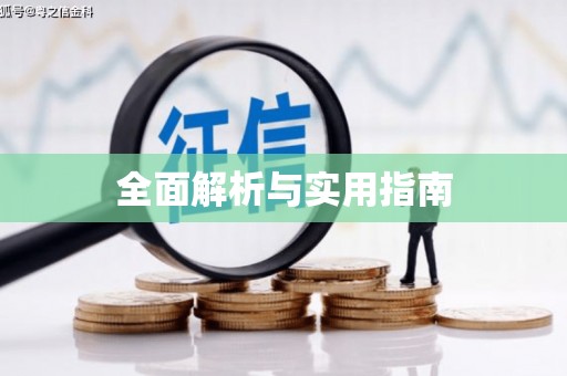 龙胜全面解析与实用指南
