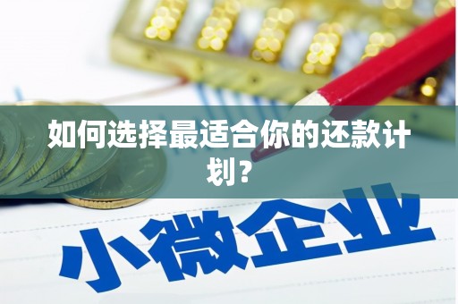 龙胜如何选择最适合你的还款计划？
