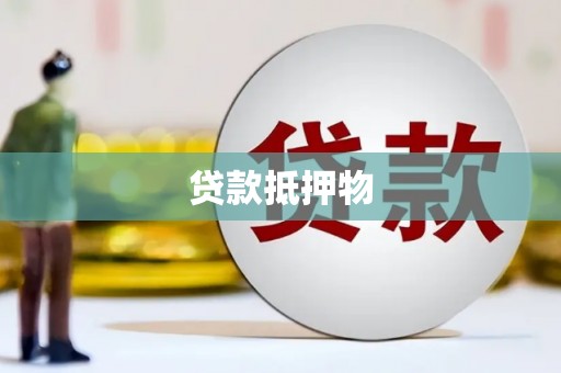 龙胜贷款抵押物