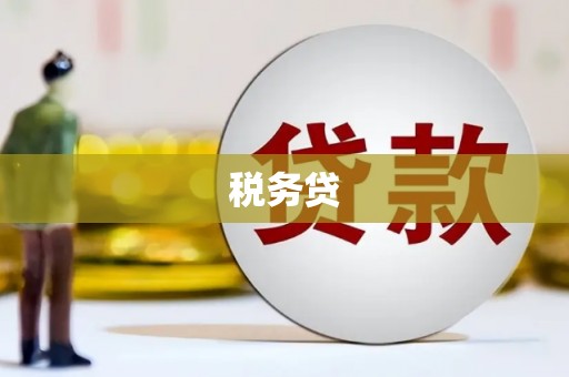龙胜税务贷