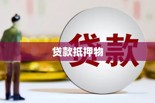 龙胜贷款抵押物