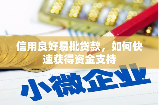 龙胜信用良好易批贷款，如何快速获得资金支持
