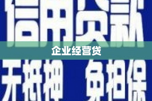 龙胜企业经营贷