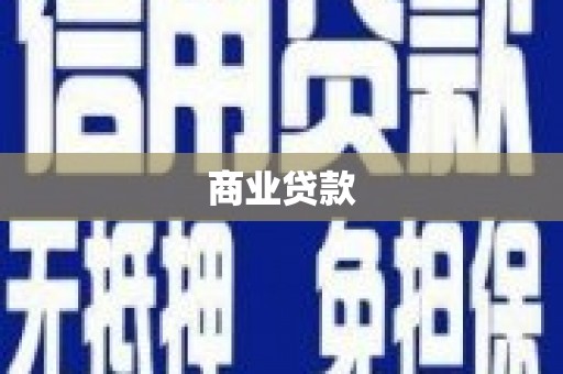 龙胜商业贷款