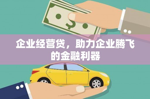 龙胜企业经营贷，助力企业腾飞的金融利器