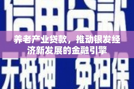 龙胜养老产业贷款，推动银发经济新发展的金融引擎