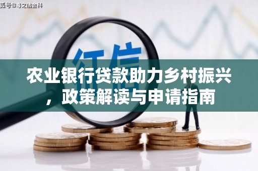 龙胜农业银行贷款助力乡村振兴，政策解读与申请指南