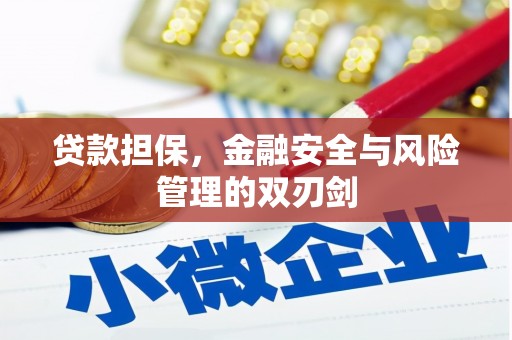 龙胜贷款担保，金融安全与风险管理的双刃剑