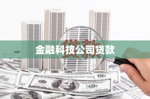 龙胜金融科技公司贷款