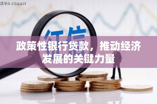 龙胜政策性银行贷款，推动经济发展的关键力量