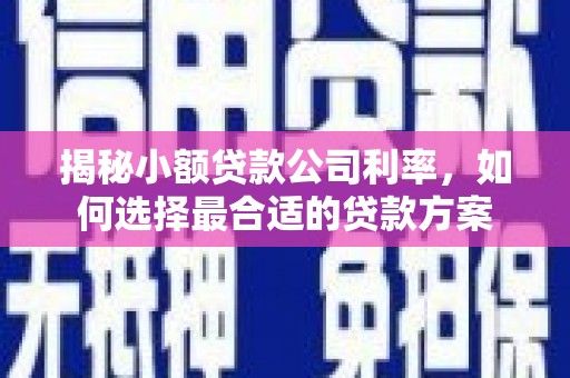 龙胜揭秘小额贷款公司利率，如何选择最合适的贷款方案