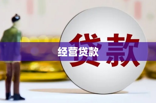 龙胜经营贷款