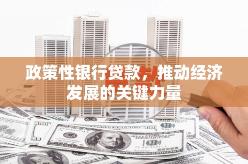 龙胜政策性银行贷款，推动经济发展的关键力量