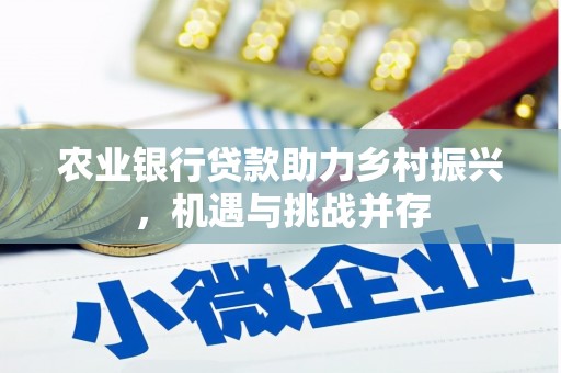 龙胜农业银行贷款助力乡村振兴，机遇与挑战并存