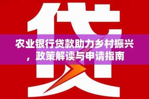 龙胜农业银行贷款助力乡村振兴，政策解读与申请指南