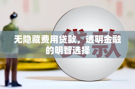 龙胜无隐藏费用贷款，透明金融的明智选择