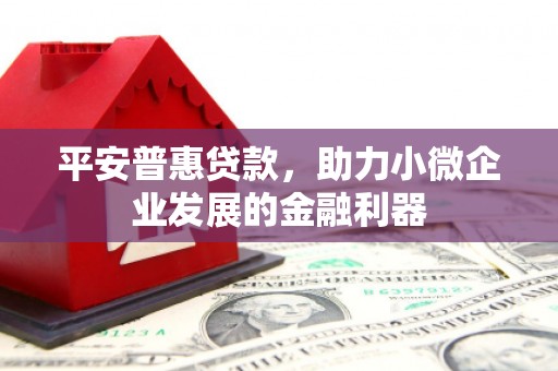 龙胜平安普惠贷款，助力小微企业发展的金融利器