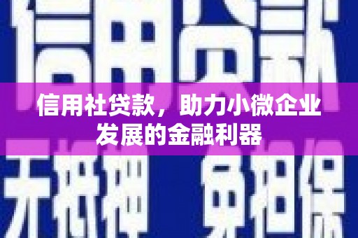 龙胜信用社贷款，助力小微企业发展的金融利器