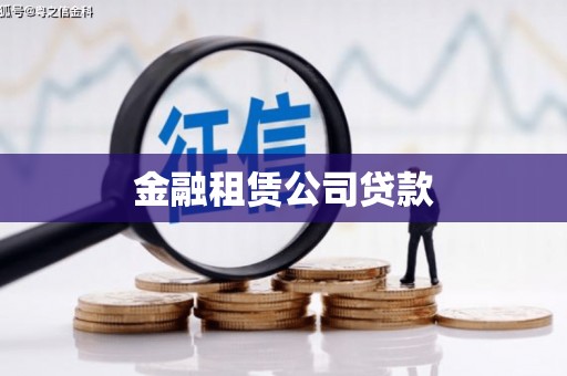 龙胜金融租赁公司贷款