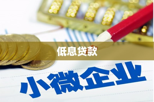 龙胜低息贷款