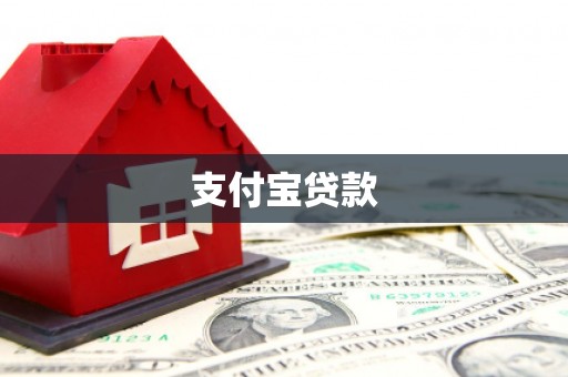 龙胜支付宝贷款