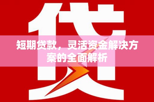 龙胜短期贷款，灵活资金解决方案的全面解析