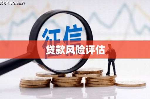 龙胜贷款风险评估