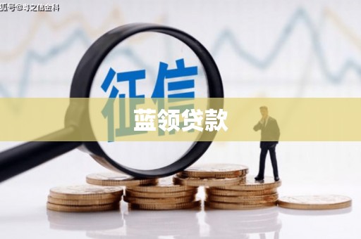 龙胜蓝领贷款
