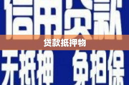 龙胜贷款抵押物