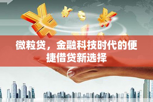 龙胜微粒贷，金融科技时代的便捷借贷新选择