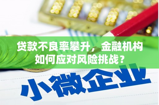 龙胜贷款不良率攀升，金融机构如何应对风险挑战？