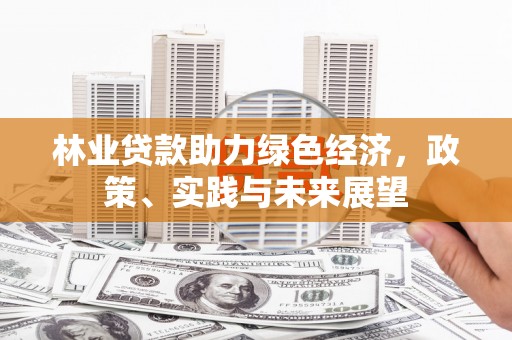 龙胜林业贷款助力绿色经济，政策、实践与未来展望