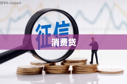 龙胜消费贷