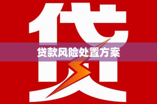 龙胜贷款风险处置方案