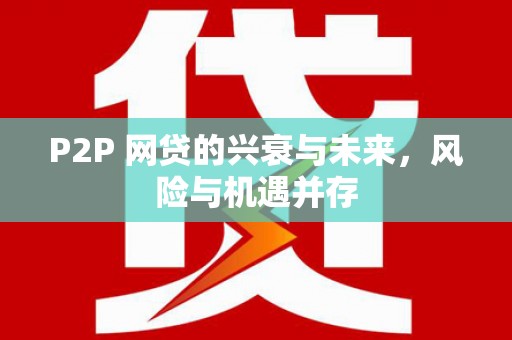 龙胜P2P 网贷的兴衰与未来，风险与机遇并存