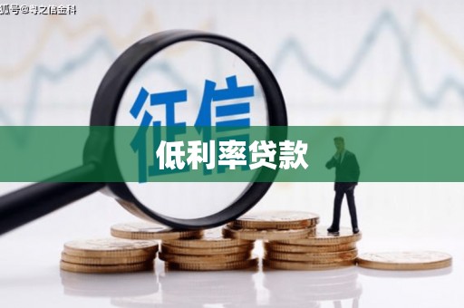 龙胜低利率贷款